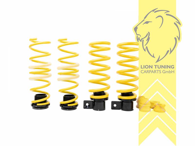 gelb, VA   HA höhenverstellbar (Federnsatz bestehend aus VA HA Federn mit Höhenverstellung, kann ausschließlich mit Seriendämpfern verwendet werden), Chrom-Silizium-Stahl, Eintragungspflichtig / Teilegutachten liegt bei