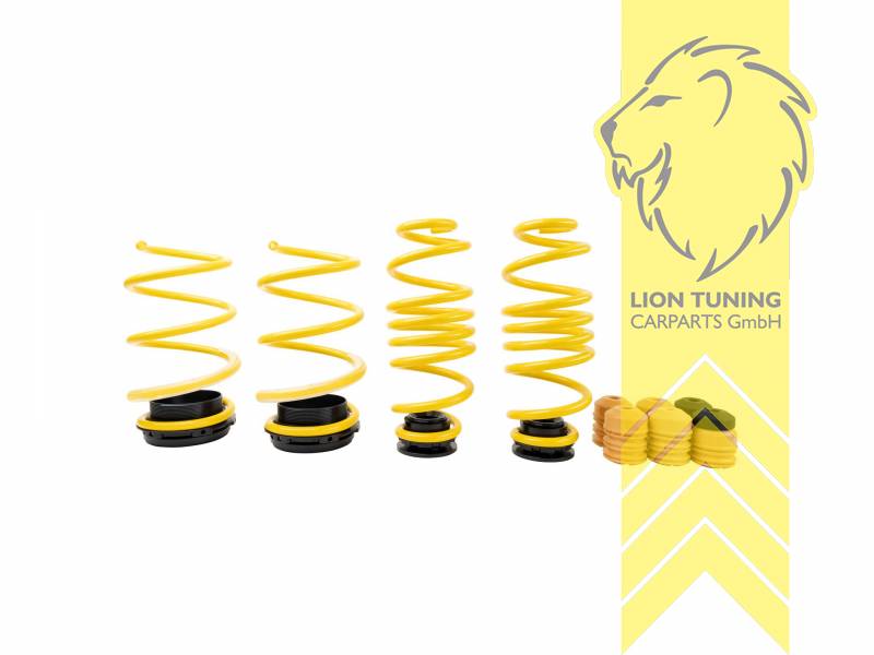 gelb, VA   HA höhenverstellbar (Federnsatz bestehend aus VA HA Federn mit Höhenverstellung, kann ausschließlich mit Seriendämpfern verwendet werden), Chrom-Silizium-Stahl, Eintragungspflichtig / Teilegutachten liegt bei