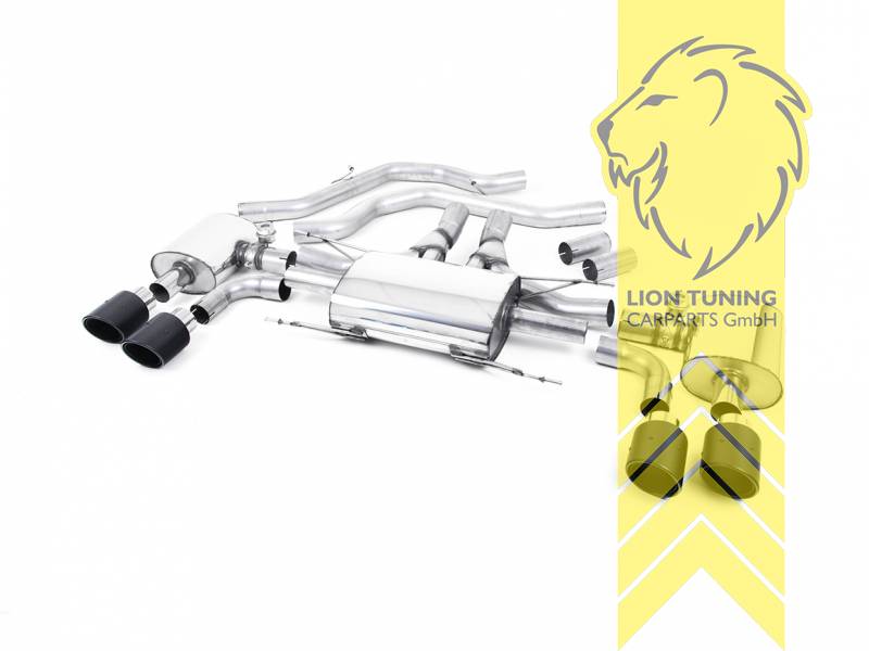 70 mm (2,75 Zoll), 2 x 100 mm, Endrohr duplex, 100 mm, Carbon, nicht passend für Fahrzeuge mit OPF, Edelstahl, Eintragungsfrei / mit ABE