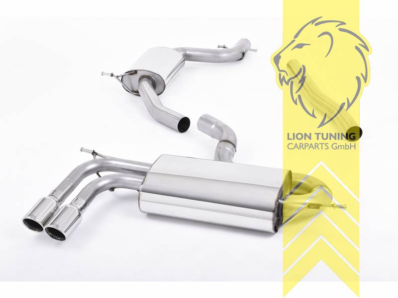 70 mm (2,75 Zoll), 2 x 80mm, Endrohr doppel, 80mm, Edelstahl poliert, Edelstahl, Eintragungsfrei / mit ABE