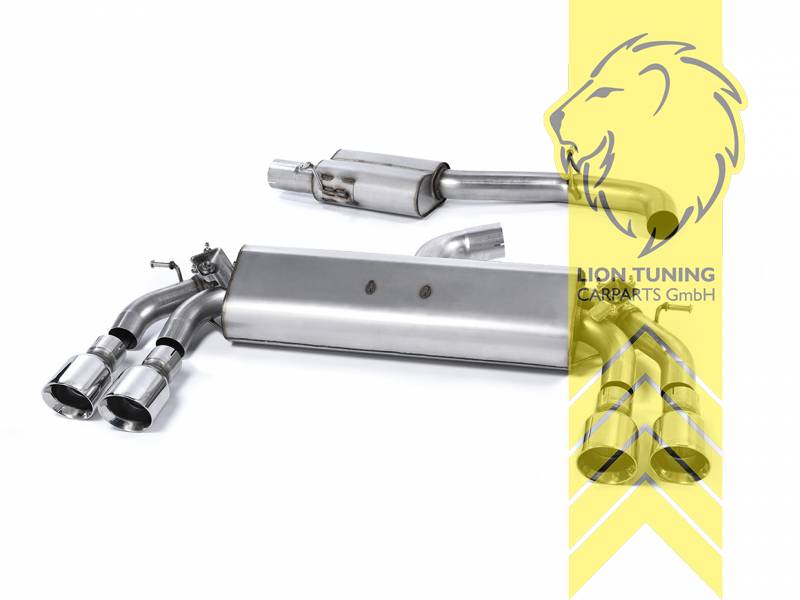 76 mm (3 Zoll), 2 x 100 mm, Endrohr duplex, 100 mm, Edelstahl poliert, nicht passend für Fahrzeuge mit OPF, Edelstahl, Eintragungsfrei / mit ABE