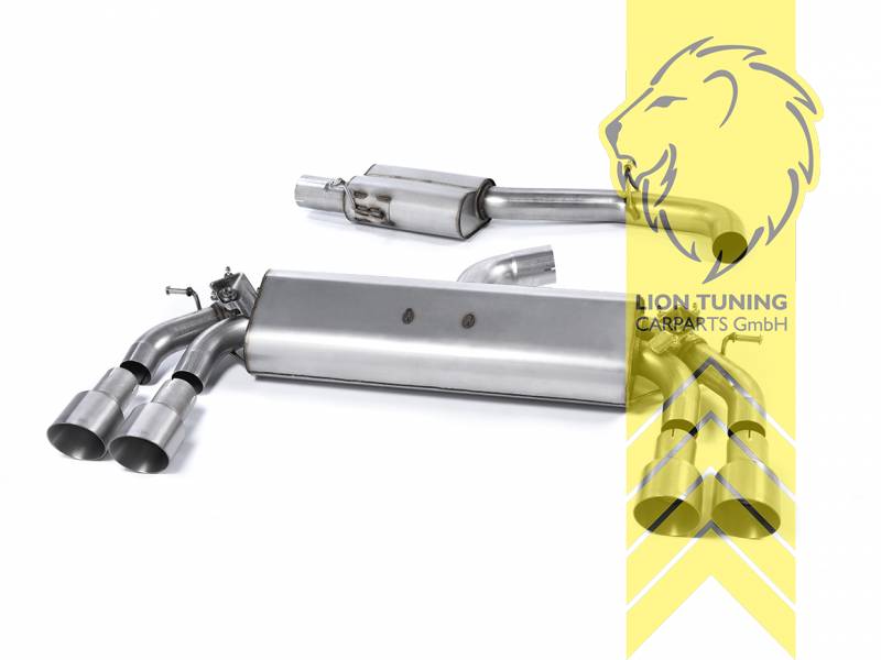 76 mm (3 Zoll), 2 x 100 mm, Endrohr duplex, 100 mm, Titan, nicht passend für Fahrzeuge mit OPF, Edelstahl, Eintragungsfrei / mit ABE