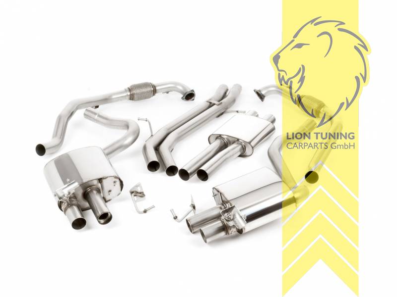 63 mm (2,5 Zoll), 2 x 100 mm, Endrohr duplex, 100 mm, Edelstahl poliert, Edelstahl, Eintragungsfrei / mit ABE