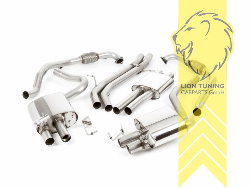 63 mm (2,5 Zoll), 2 x 100 mm, Endrohr duplex, 100 mm, Edelstahl poliert, Edelstahl, Eintragungsfrei / mit ABE