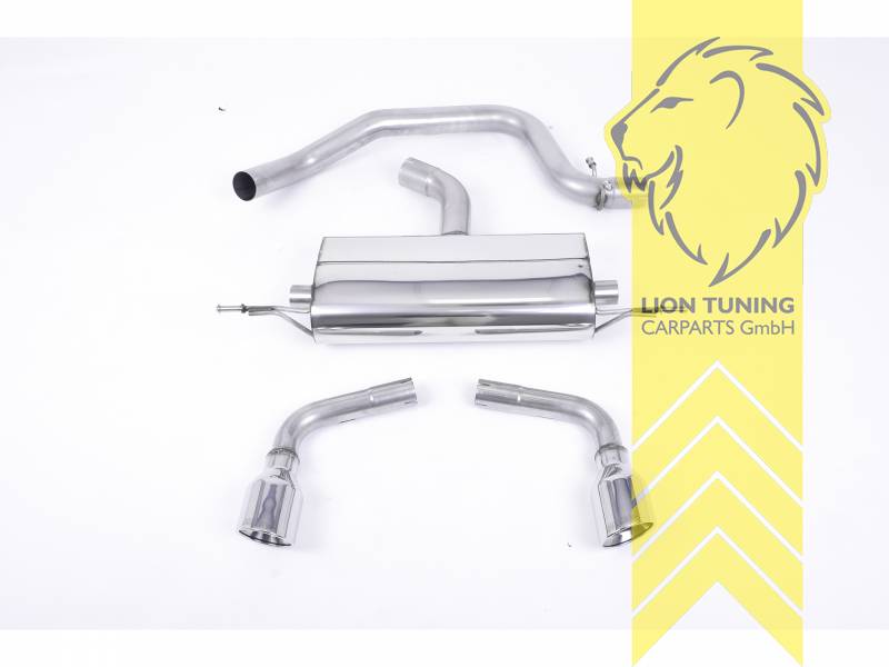 70 mm (2,75 Zoll), 1 x 100mm, Endrohr duplex, 100 mm, Edelstahl poliert, Edelstahl, Eintragungsfrei / mit ABE