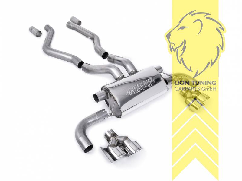 76 mm (3 Zoll), 2 x 100 mm, Endrohr duplex, 100 mm, Edelstahl poliert, Edelstahl, Eintragungsfrei / mit ABE