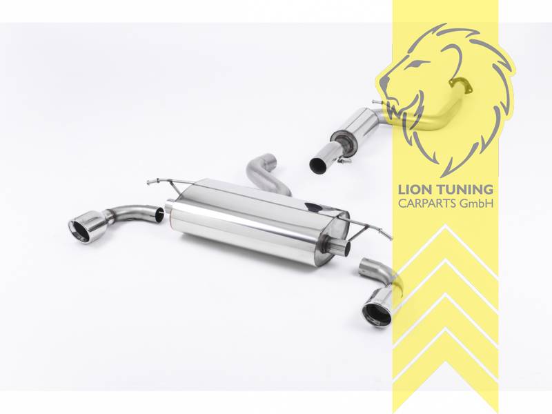 70 mm (2,75 Zoll), 1 x 100mm, Endrohr duplex, 100 mm, Edelstahl poliert, Edelstahl, Eintragungsfrei / mit ABE