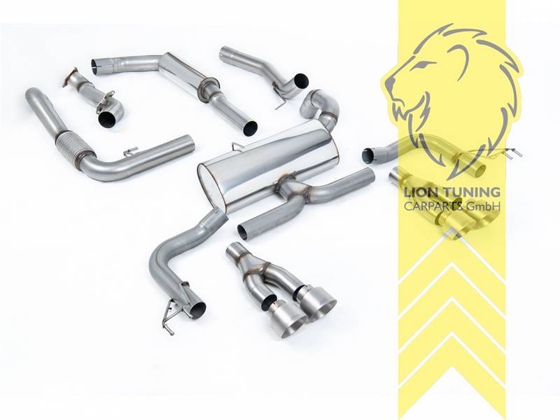 76 mm (3 Zoll), 2 x 100 mm, Endrohr duplex, 100 mm, Titan, Edelstahl, Eintragungsfrei / mit ABE