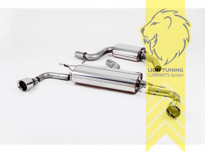 70 mm (2,75 Zoll), 1 x 100mm, Endrohr duplex, 100 mm, Edelstahl poliert, Edelstahl, Eintragungsfrei / mit ABE