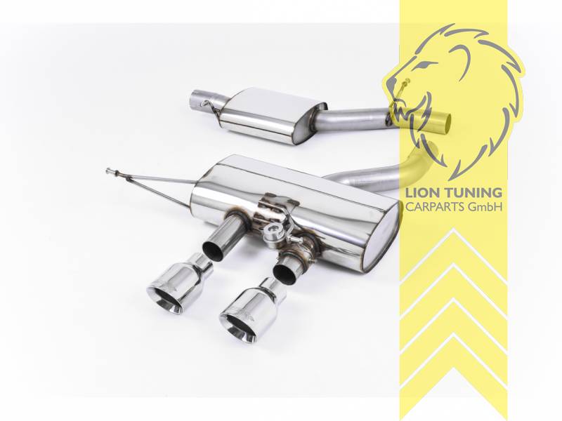 70 mm (2,75 Zoll), 2 x 100 mm, Endrohr doppel, 100 mm, Edelstahl poliert, Edelstahl, Eintragungsfrei / mit ABE