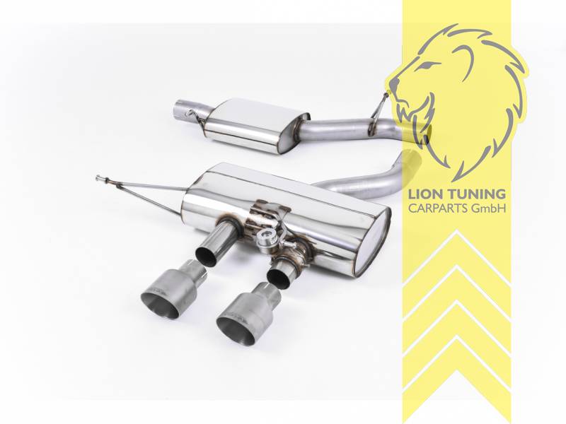 70 mm (2,75 Zoll), 2 x 100 mm, Endrohr doppel, 100 mm, Titan, Edelstahl, Eintragungsfrei / mit ABE