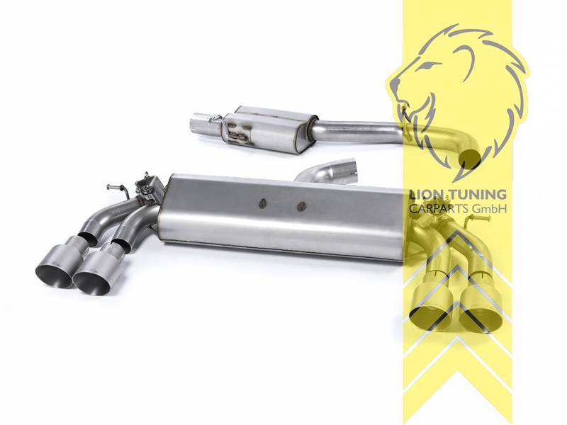 76 mm (3 Zoll), 2 x 100 mm, Endrohr duplex, 100 mm, Titan, Edelstahl, Eintragungsfrei / mit ABE