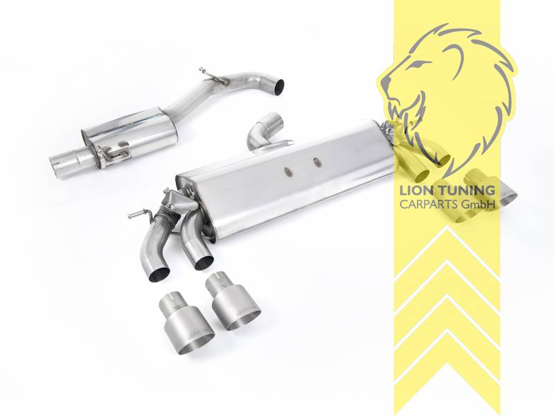 76 mm (3 Zoll), 2 x 100 mm, Endrohr duplex, 100 mm, Titan, nicht passend für Fahrzeuge mit OPF, Edelstahl, Eintragungsfrei / mit ABE