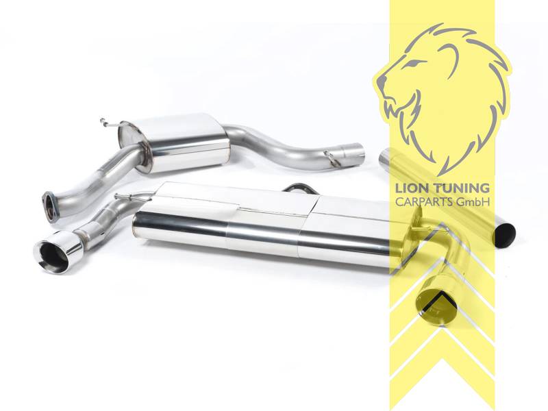 76 mm (3 Zoll), 1 x 100mm, Endrohr duplex, 100 mm, Edelstahl poliert, Edelstahl, Eintragungsfrei / mit ABE