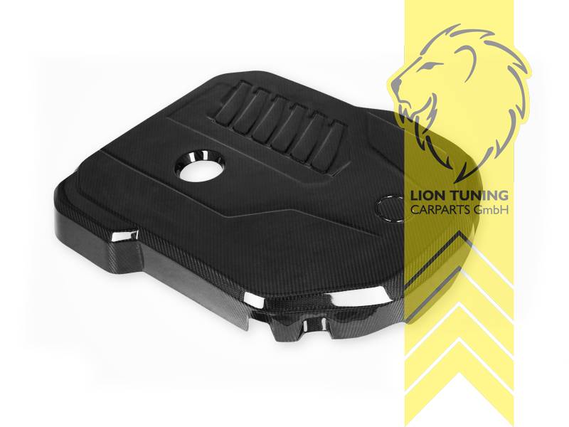 Ersatzteile von äquivalenter Qualität für die Besitzer des Fahrzeugs (entspr. EU-Verordnung 46/2010), Carbon