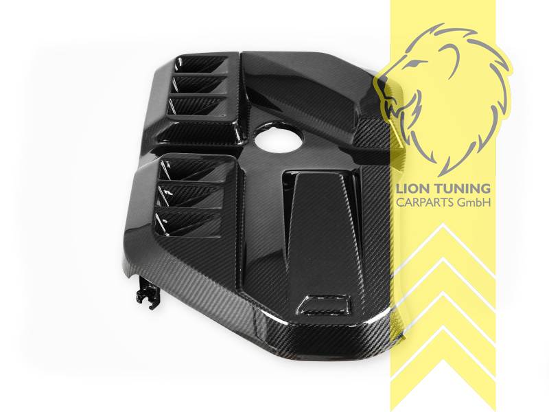 Ersatzteile von äquivalenter Qualität für die Besitzer des Fahrzeugs (entspr. EU-Verordnung 46/2010), Carbon