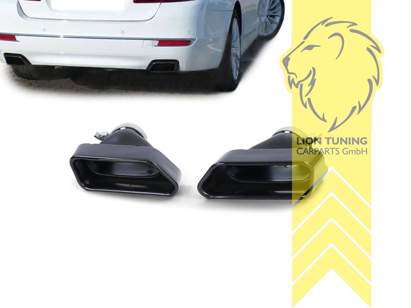 140 x 70 mm, Endrohr duplex, schwarz glänzend, Edelstahl