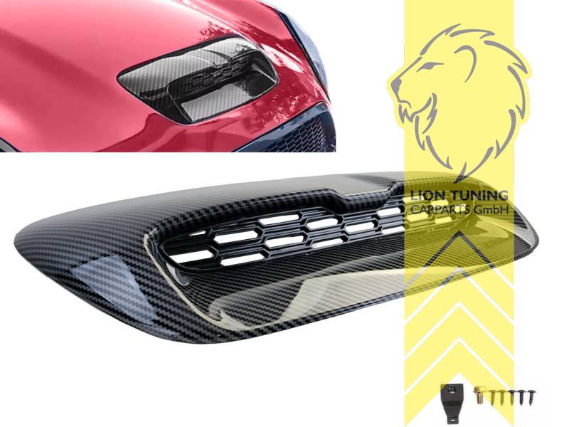 carbon Optik, nur für Cooper S, ABS Kunststoff, Eintragungsfrei / als Ersatzteil verwendbar