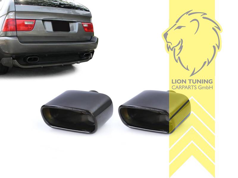 Endrohr duplex, schwarz, Oval, Edelstahl