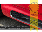 carbon Optik, ABS Kunststoff, schwarz - lackierfähig, Eintragungsfrei / mit ABE