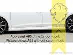 carbon Optik, ABS Kunststoff, schwarz - lackierfähig, Eintragungsfrei / mit ABE