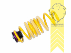 Nicht für Fahrzeuge mit Niveauregulierung / Luftfederung, gelb, Nicht für Fahrzeuge mit elektronischer Dämpferregelung, VA HA höhenverstellbar (Federnsatz bestehend aus VA HA Federn mit Höhenverstellung, kann ausschließlich mit Seriendämpfern verwendet werden), Chrom-Silizium-Stahl, Eintragungspflichtig / Teilegutachten liegt bei