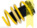 Nur für Fahrzeuge mit elektronischer Dämpferregelung, nicht für Fahrzeuge mit Luftfederung, gelb, VA   HA höhenverstellbar (Federnsatz bestehend aus VA HA Federn mit Höhenverstellung, kann ausschließlich mit Seriendämpfern verwendet werden), Chrom-Silizium-Stahl, Eintragungspflichtig / Teilegutachten liegt bei