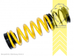 gelb, VA HA höhenverstellbar (Federnsatz bestehend aus VA HA Federn mit Höhenverstellung, kann ausschließlich mit Seriendämpfern verwendet werden), Nur für Allradfahrzeuge (4WD, 4x4, 4Motion usw.)., Chrom-Silizium-Stahl, Eintragungspflichtig / Teilegutachten liegt bei