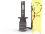 VOR dem Kauf Kompatibilität prüfen!, LED, H1, Eintragungsfrei / mit ABE