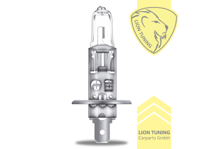 Halogen, 3500K, H1, 55W, Scheinwerfer, 12 V, Eintragungsfrei / mit R87 Zulassung als Tagfahrlicht